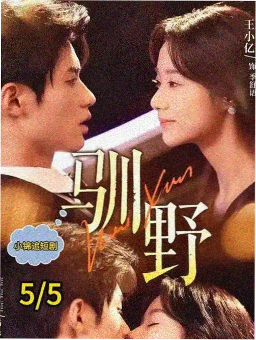 大奥剧场版 御台所之争 海报